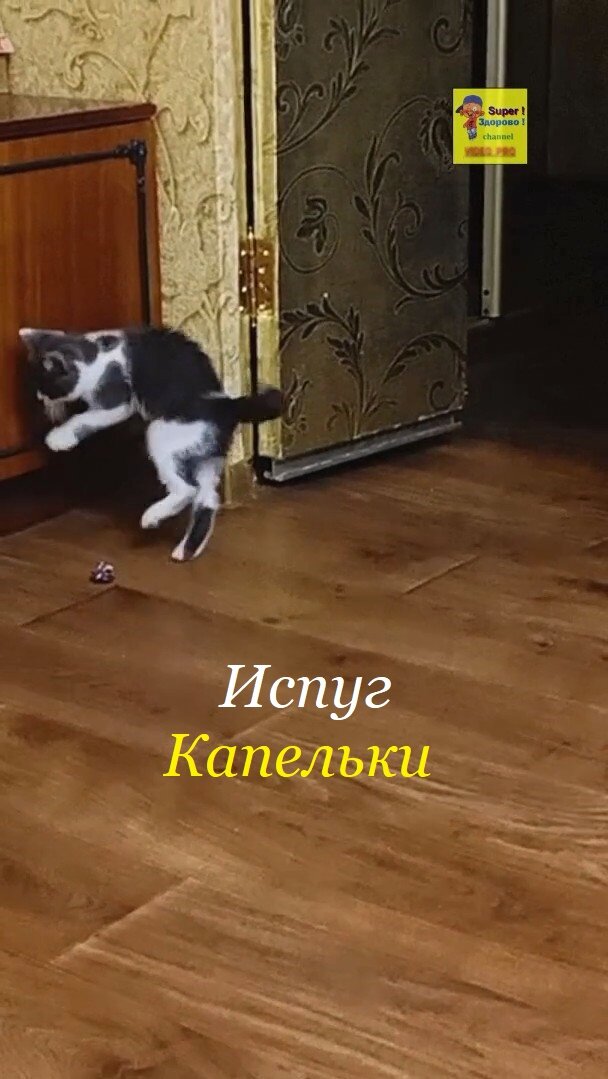 Короткий прикол