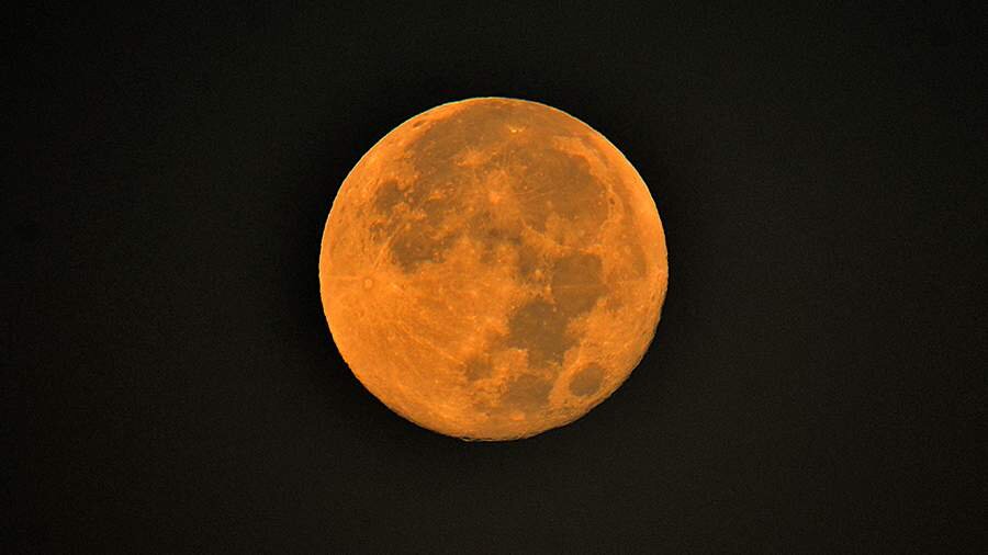 Фото: Global Look Press/Gerard Bottino