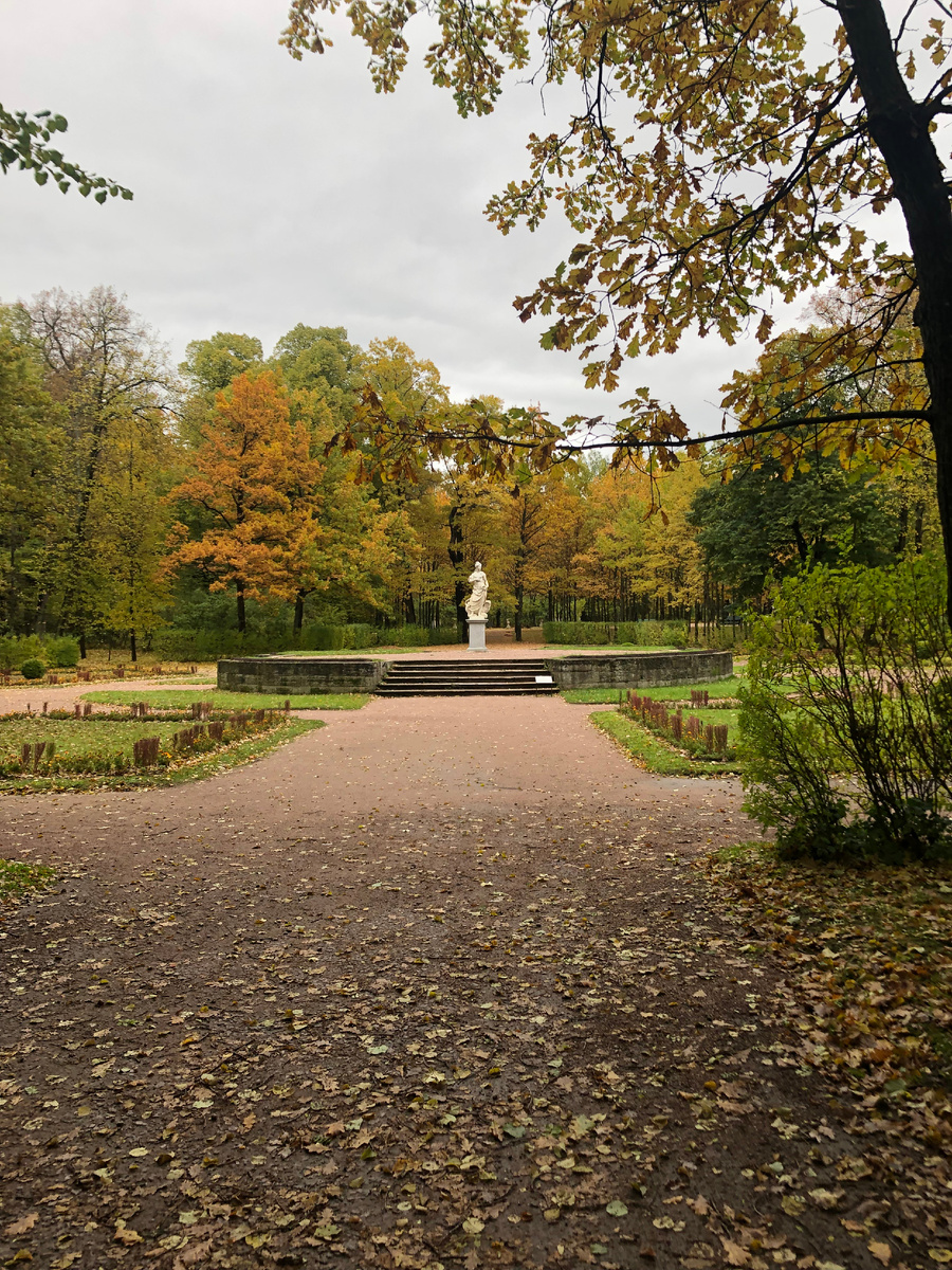 Осенний вид Павловского парка. Фото автора