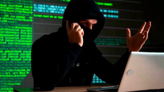    С 2023 года ущерб от IT-преступлений в России превысил 210 млрд рублей Алина Городниченко
