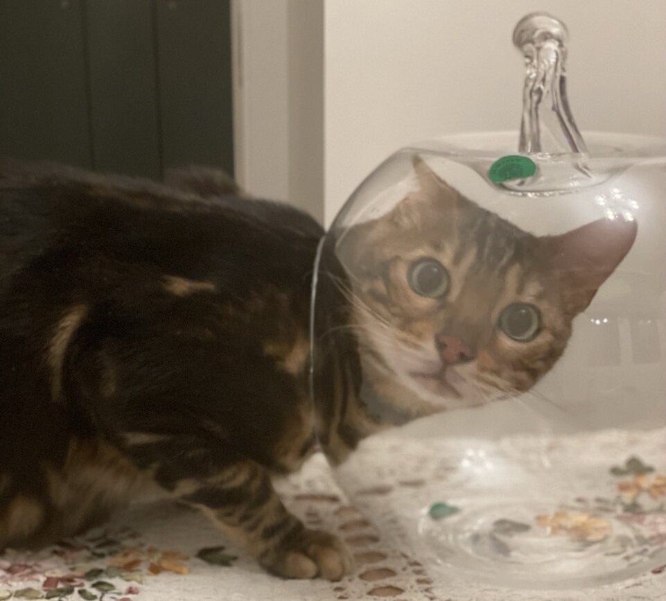 есть ли жизнь в сильной школе?