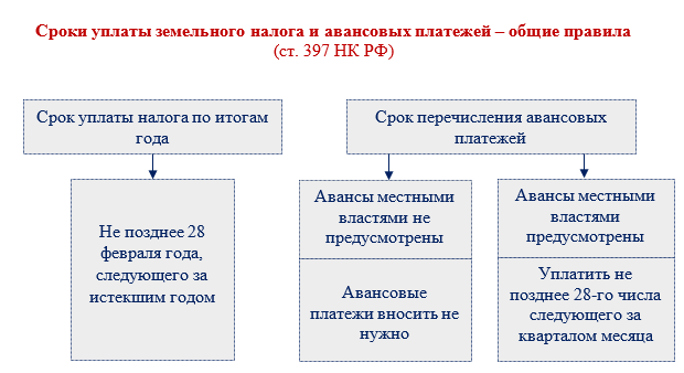 Спорные ситуации по земельному налогу | Экономика и Жизнь