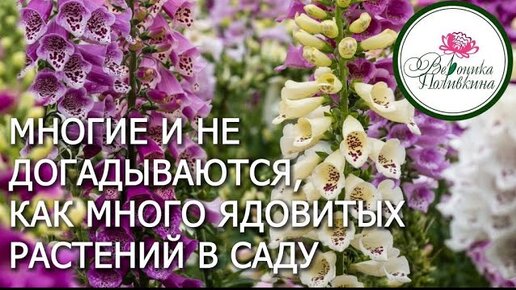 Ядовитые растения в саду