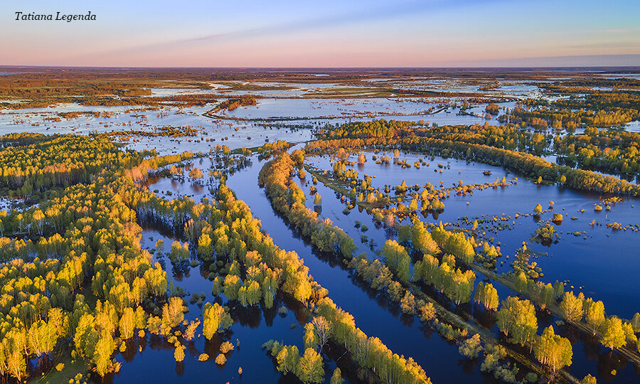 Деревня Окунево, река Тара, Омская область. Фото: Соколова Татьяна, г. Омск