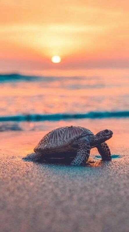 Фото взято из интернета