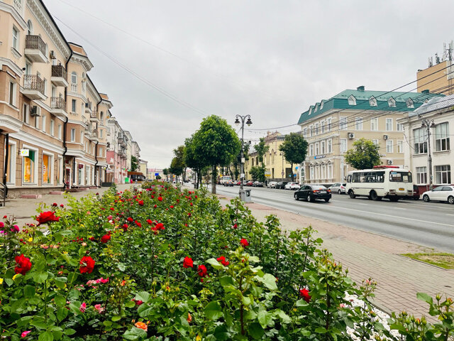    По проекту на улице Ленина появятся велодорожка и живая изгородь