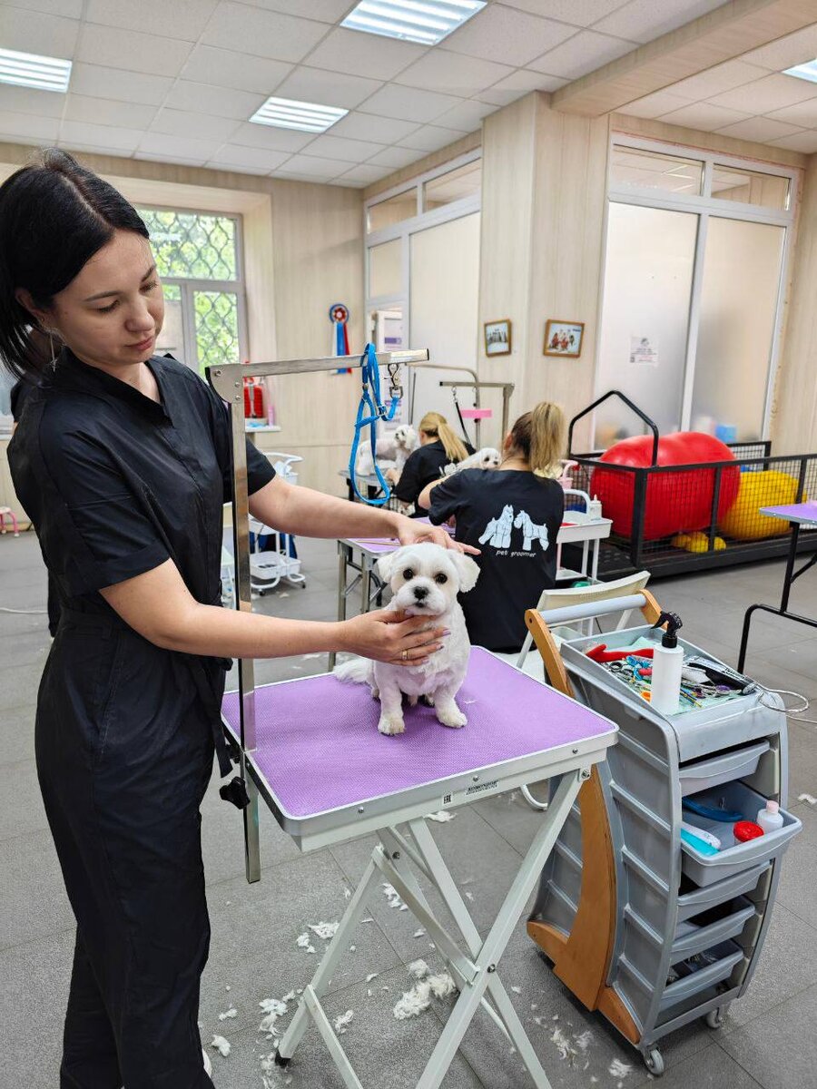 Работа, работа, а обучение никто не отменял📚