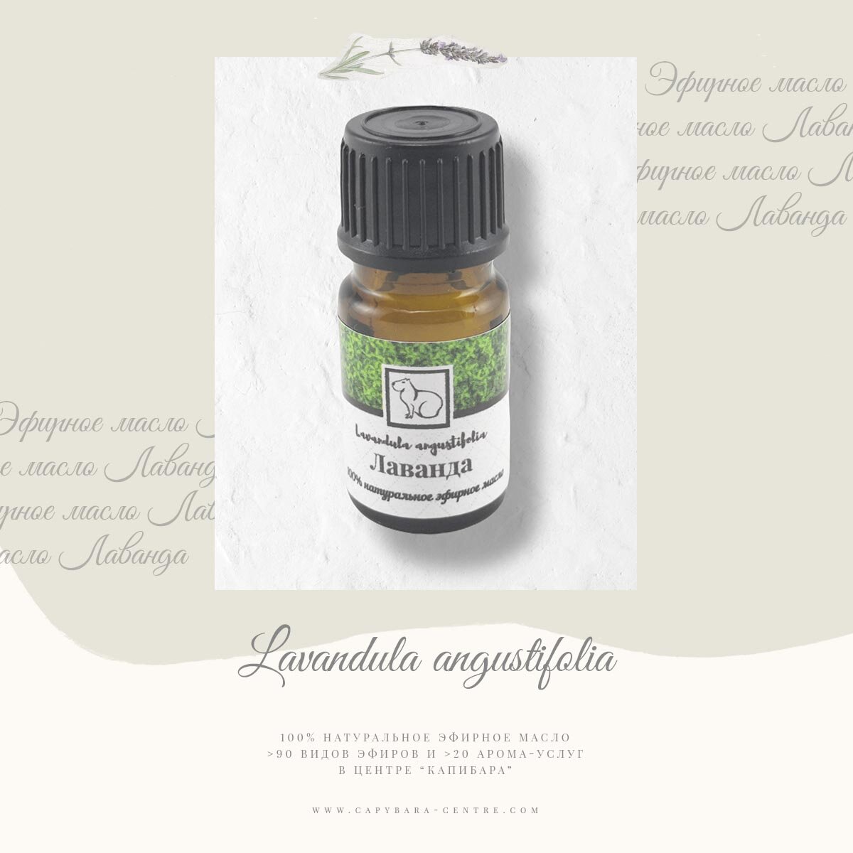 Самое популярное эфирное масло - Лаванда