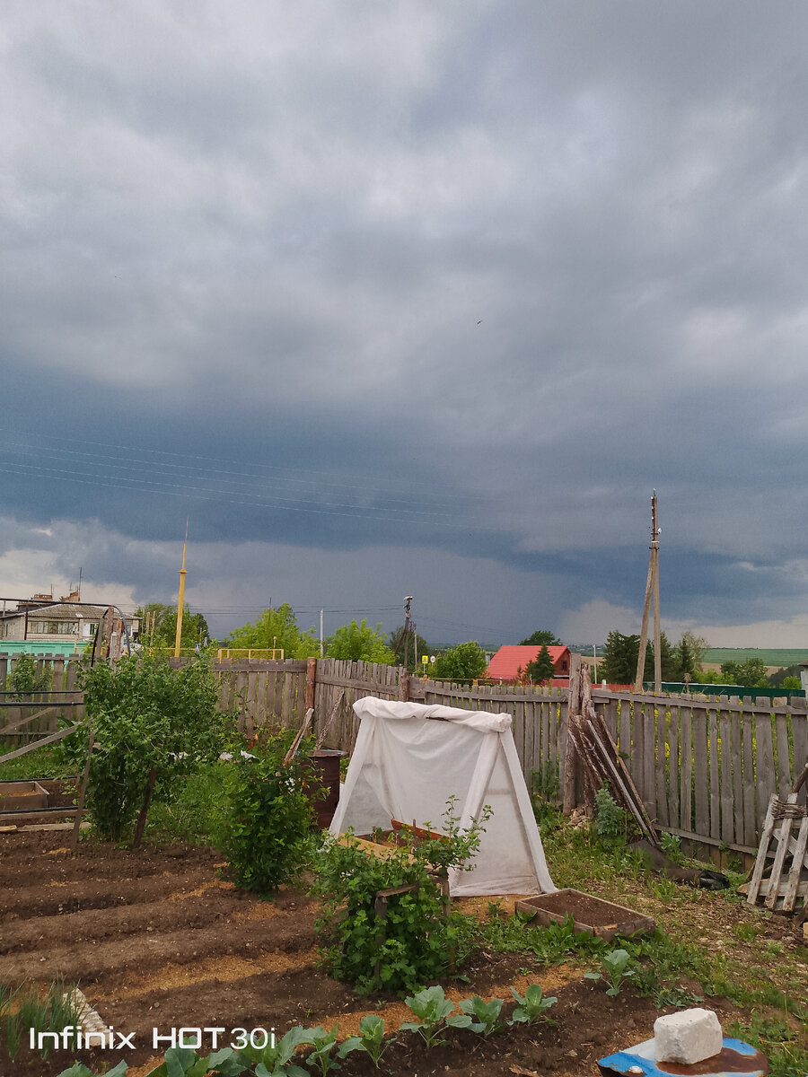 Скоро будет гроза. 