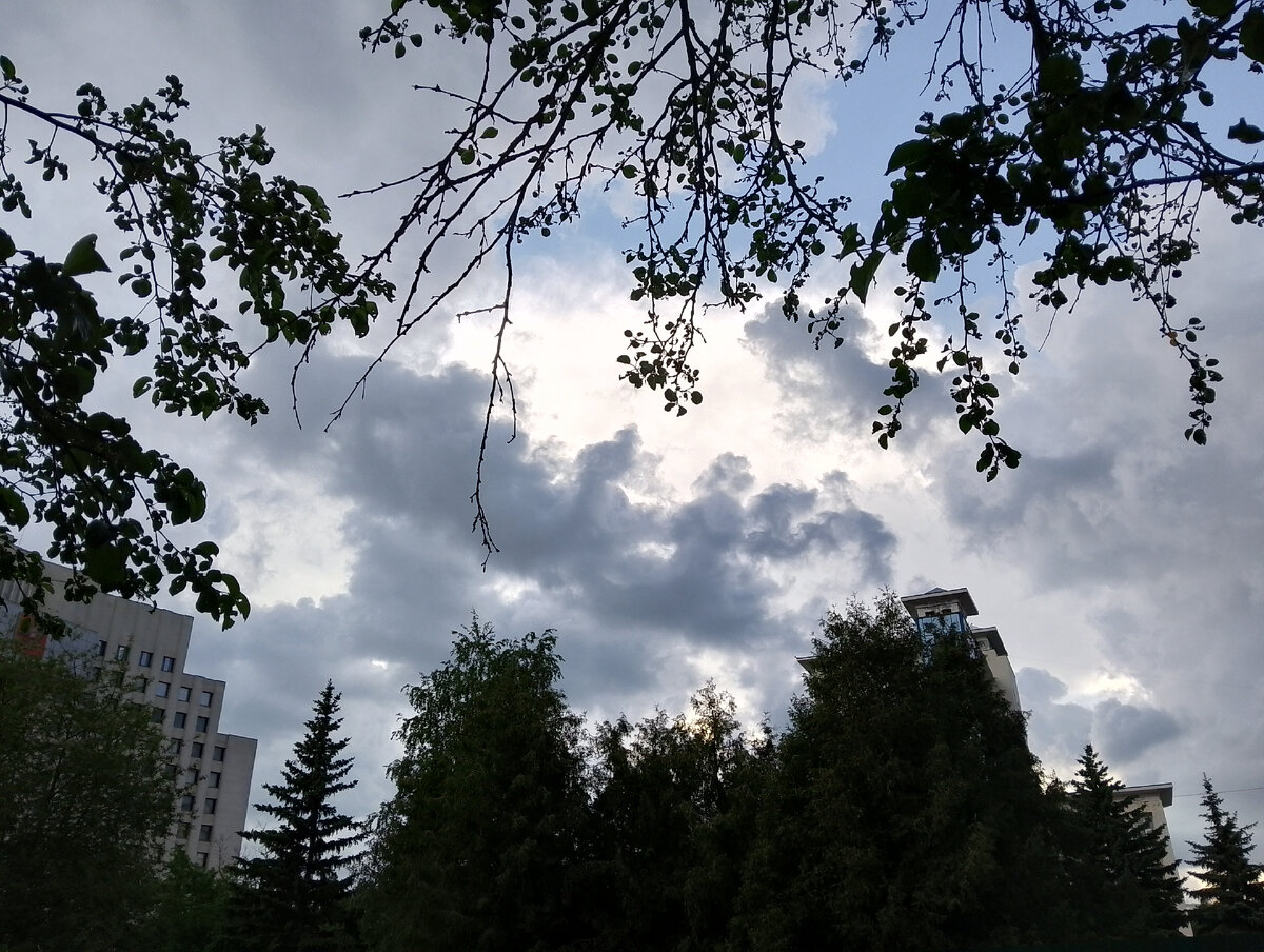 Вечером тучи сгущаются перед дождём, 04.06.2024, фото автора