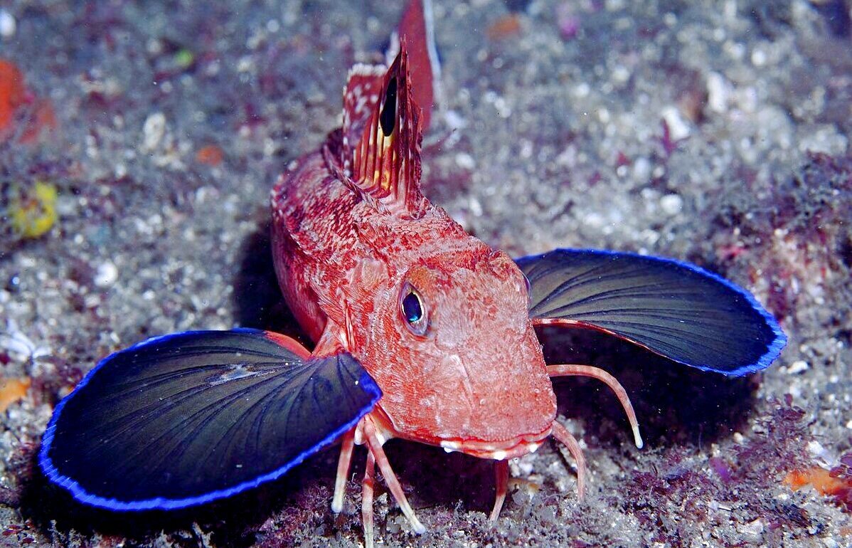 Источник фото: pofoto.club