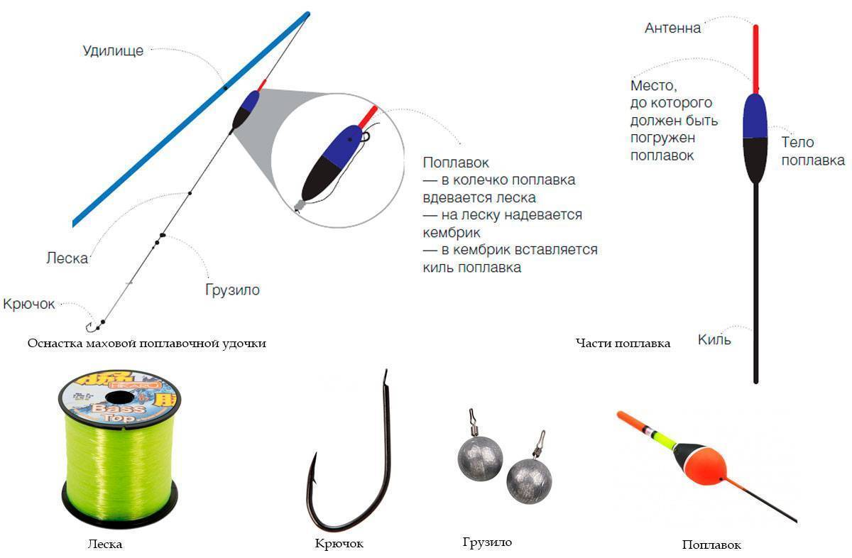Оснащение поплавочной удочки. Что нужно для оснащения удилища Рыбалка с FishManu