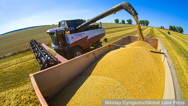     Фото: Nikolay Gyngazov/Global Look Press   
 Текст: Вера Басилая