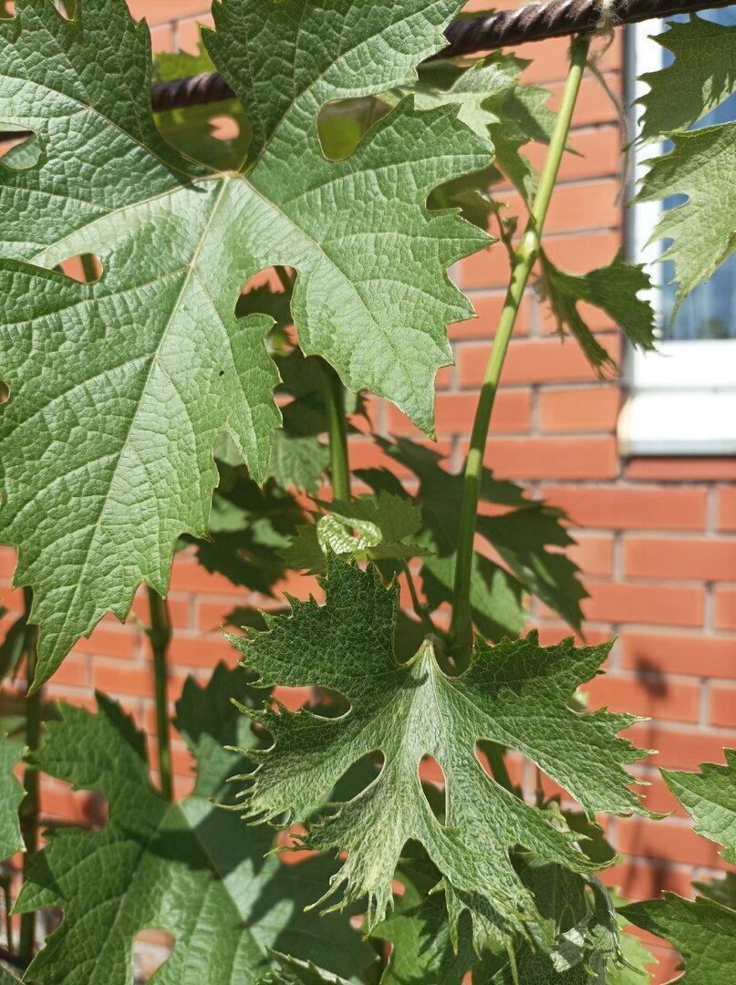 Фото подписчика 