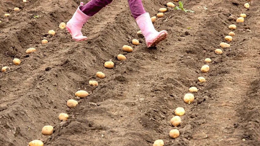 Фото: © Michael Reichel/dpa/Globallookpress