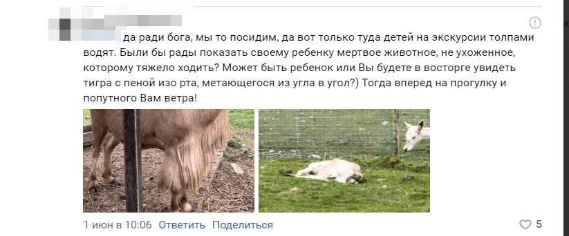     В «Карельском зоопарке» рассказали о чудесном «воскрешении» верблюда и спасении животных