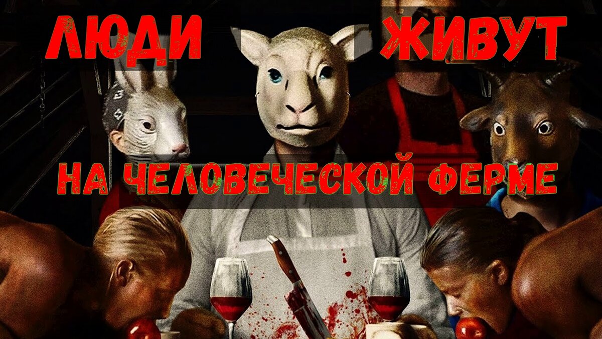 Изображение взято из открытого источника и было переделано. 