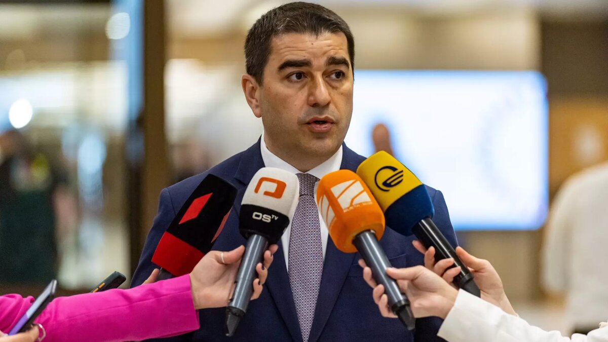 Председатель парламента Грузии Шалва Папуашвили. Фото: EPA/ТАСС