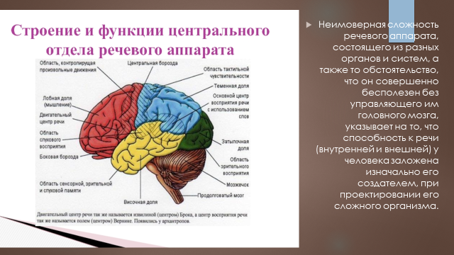 Неимоверная сложность речевого аппарата, состоящего из разных органов и систем, а также то обстоятельство, что он совершенно бесполезен без управляющего им  головного мозга, указывает на то, что способность к речи (внутренней и внешней) у человека заложена изначально его создателем, при проектировании его сложного организма. 