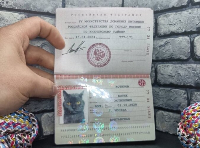  Чисто случайно наткнулась на такое объявление и задумалась, а ведь так могут и подделать настоящий паспорт РФ для человека🤔. Нет, я понимаю, что это якобы просто сувенир и якобы только для животных.