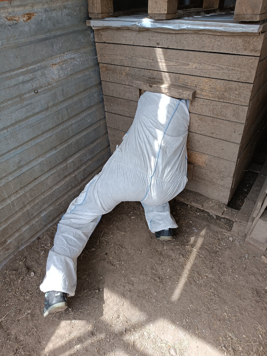 В гостях у Али