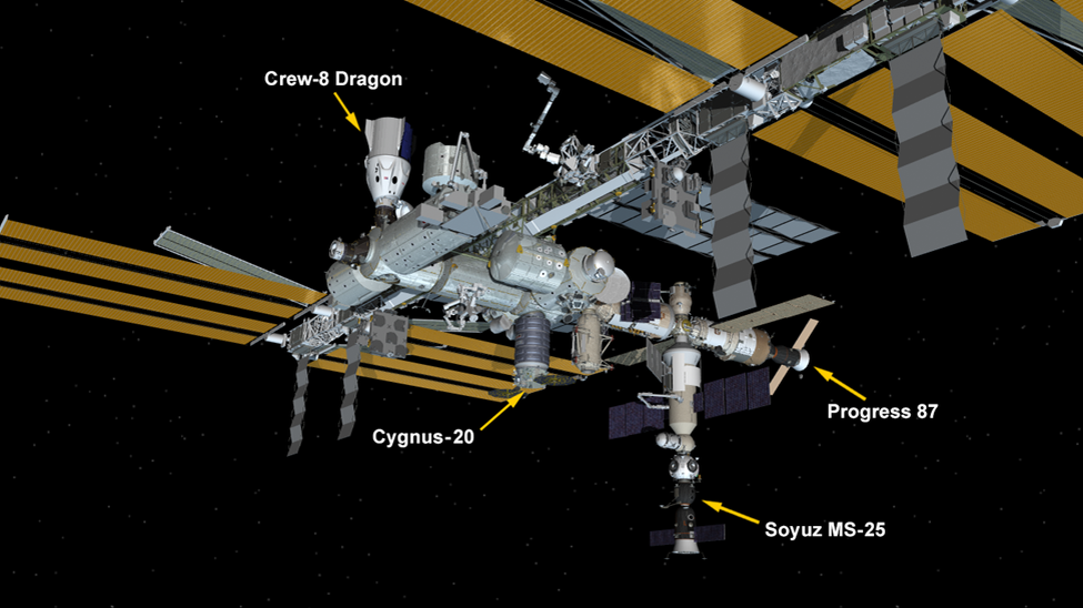 Конфигурация МКС с пристыкованными кораблями. Инфографика NASA