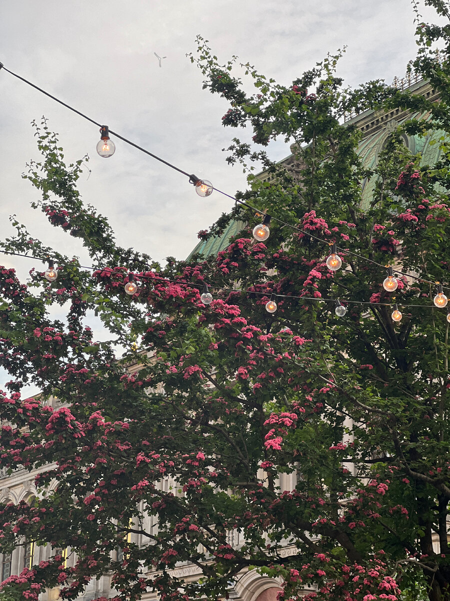 Соляной переулок 