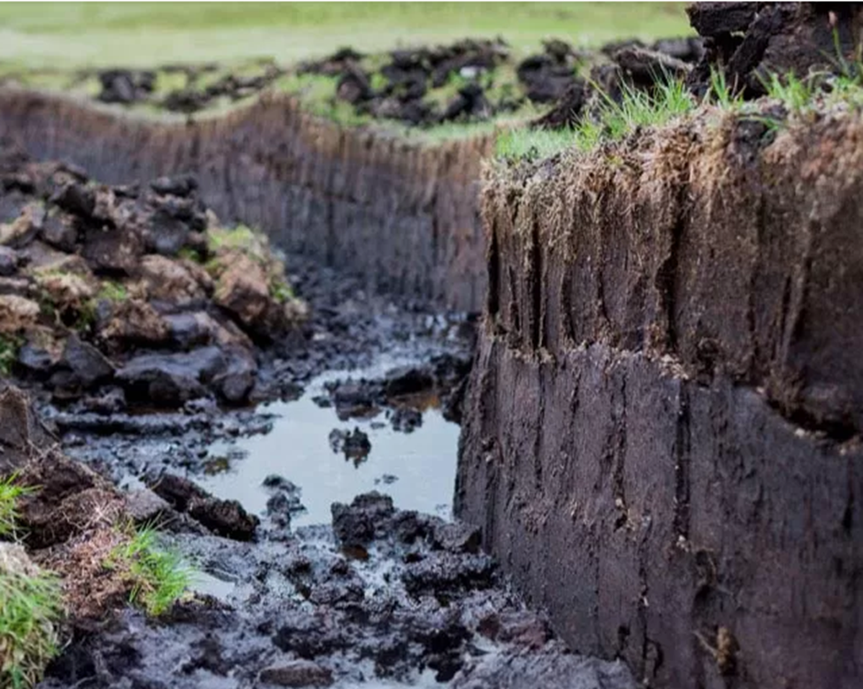 Если черный цвет и легкий - большая вероятность, что это торф.