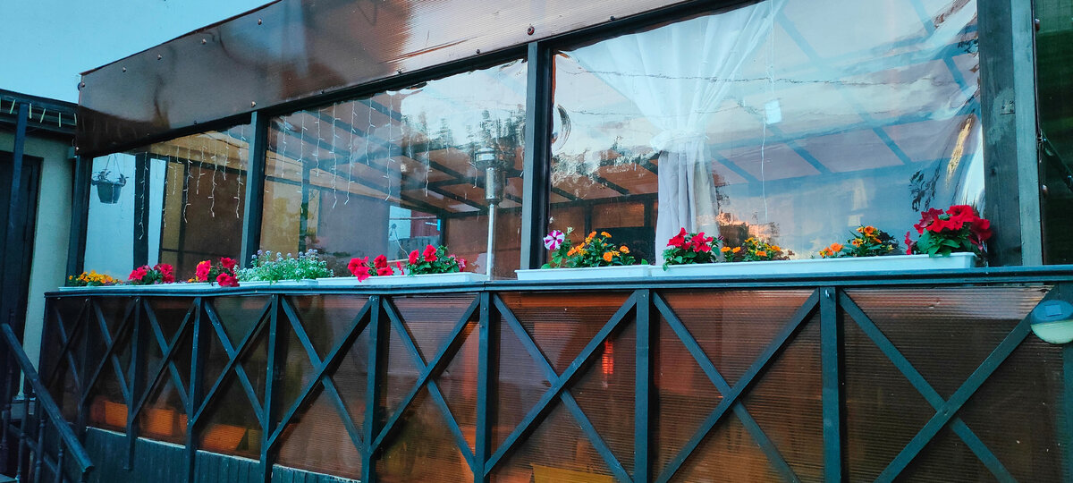 Здесь виола, петуньи, алиссум и колеусы