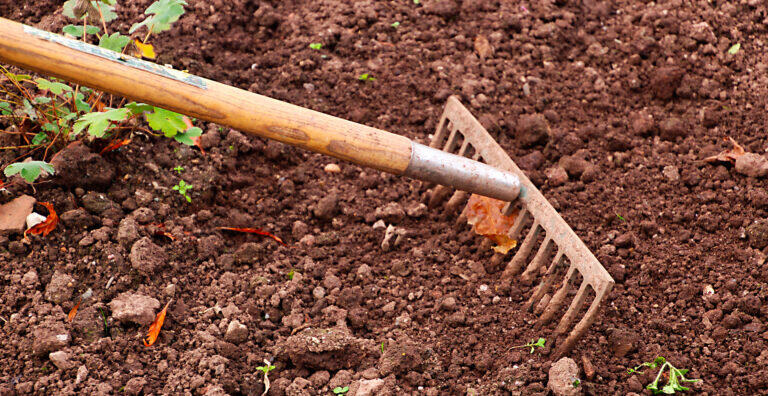    фото: pixabay.com/terimakasih0 Игорь Бережной