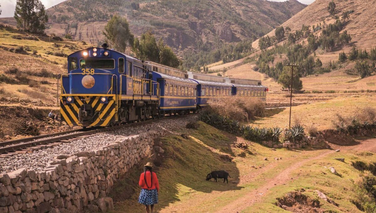 Изображение взято с сайта: https://avatars.dzeninfra.ru/get-zen_doc/1709006/pub_63b2e3a87fc57c5d5d986556_63b2ef2f51ee5b461f1d6005/scale_1200