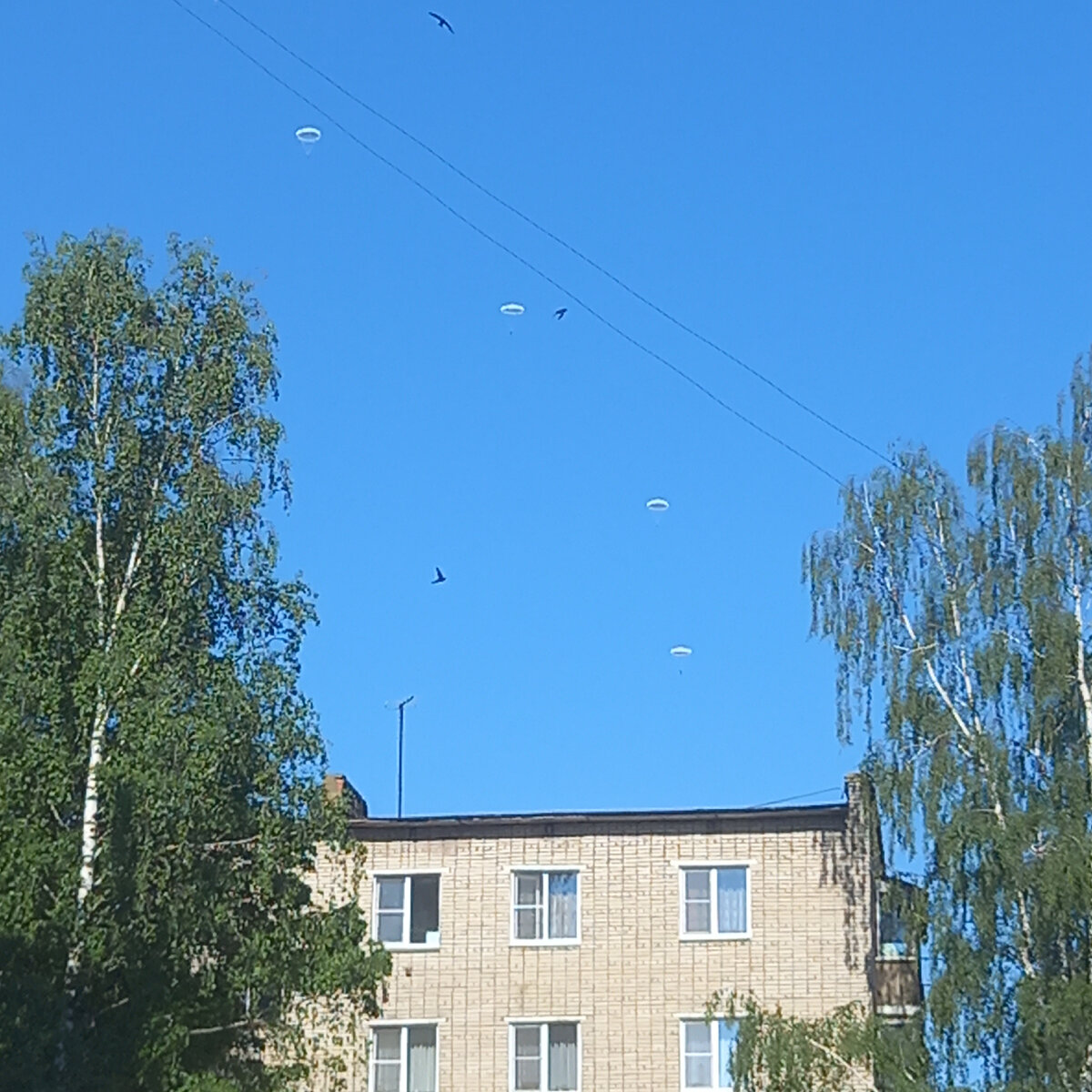 Фото автора канала