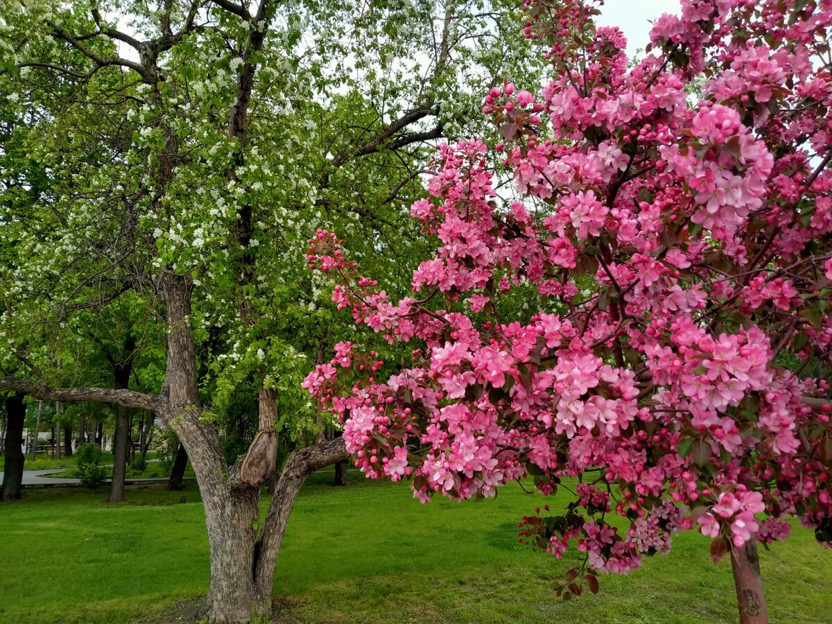 фото BFM-Новосибирск