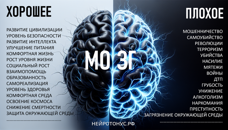 Мы многое делаем вопреки здравому смыслу