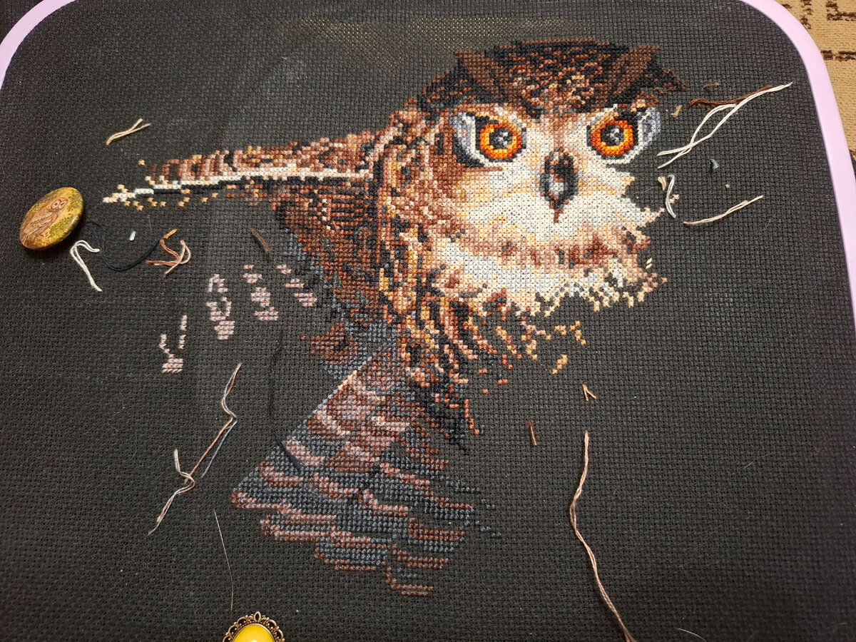 3 июня птица выглядела так