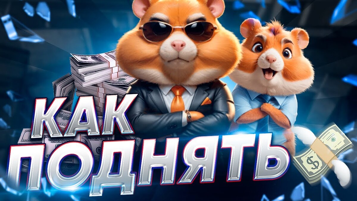 Вывод денег с hamster combat