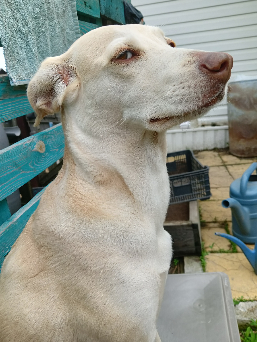 А вкусняха будет?