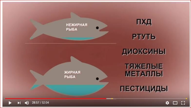 Скрин из фильма РЫБА МАССОВОГО ПОРАЖЕНИЯ