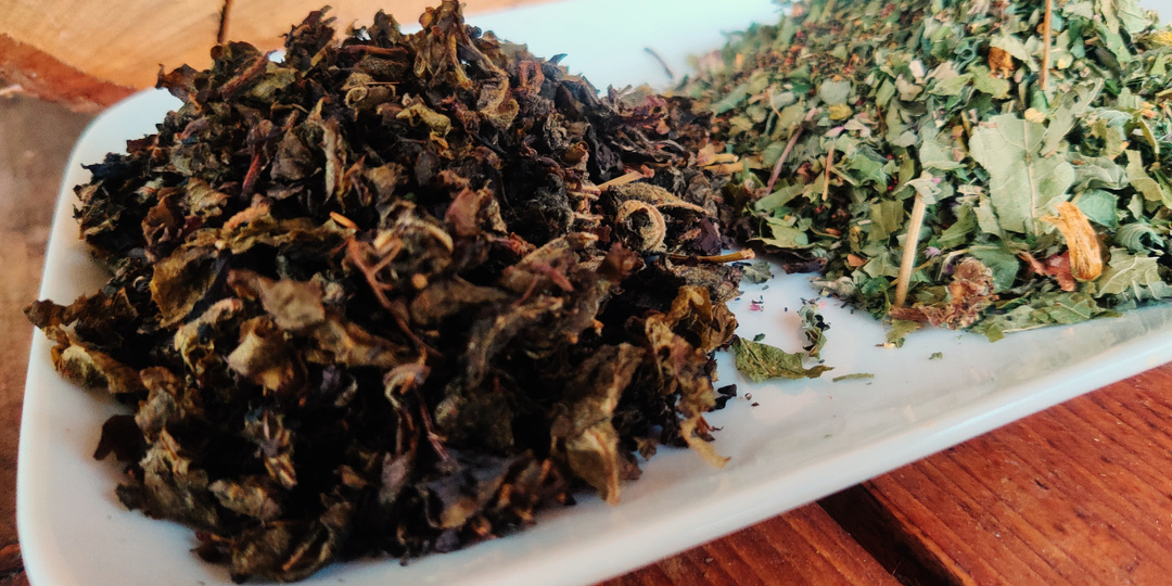 Начало лета - самое время заготовить чай на весь год