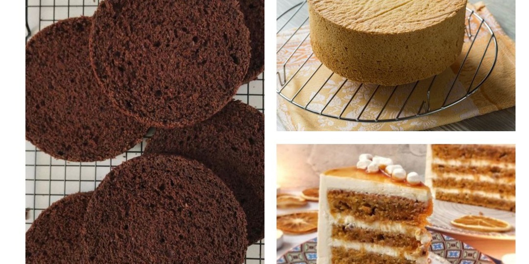 5 вариантов бисквитов для тортов: базовые рецепты для начинающего кондитера