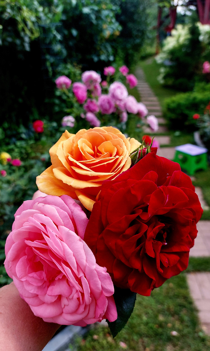 Мини - букет. Для вас). 