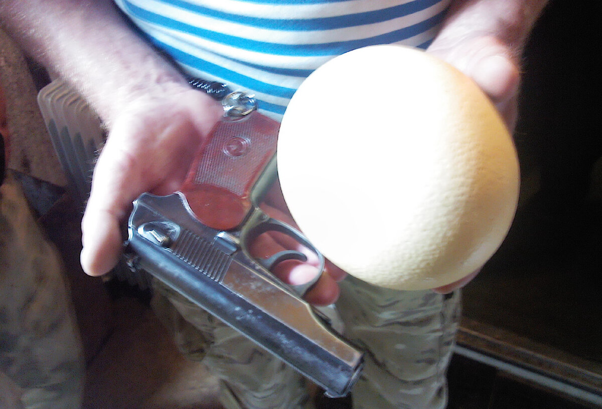 Сравнение страусиного яйца с ПМ.