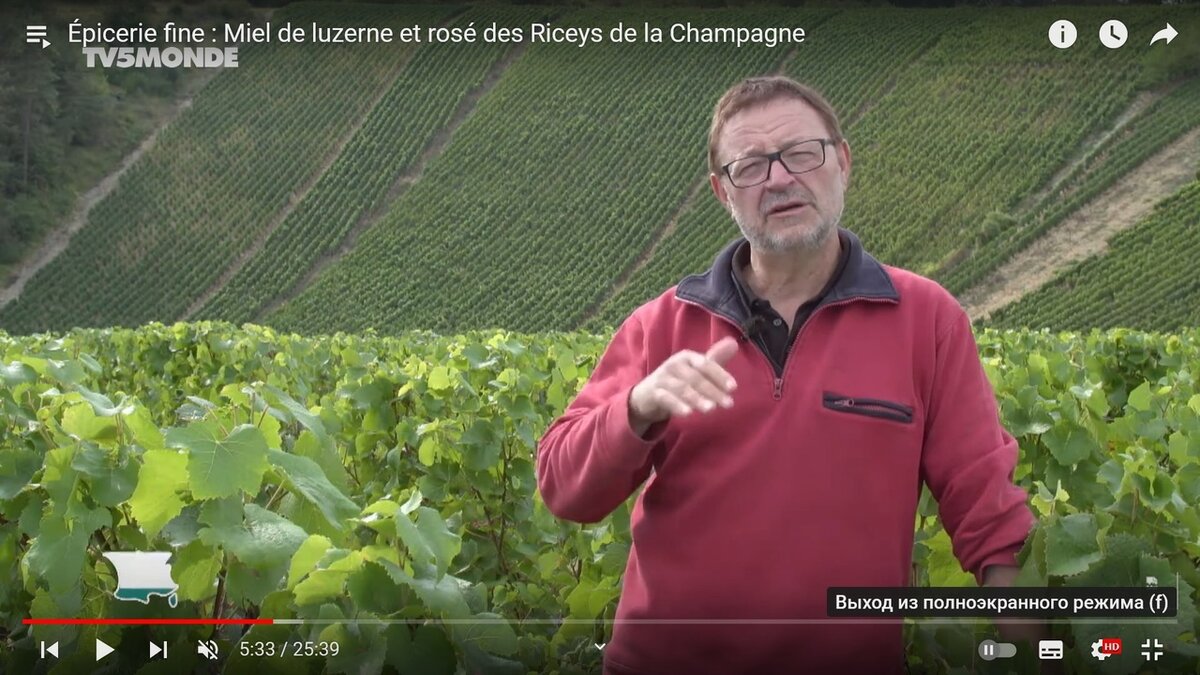 "Страна деликатесов" - мой любимый французский сериал про еду.