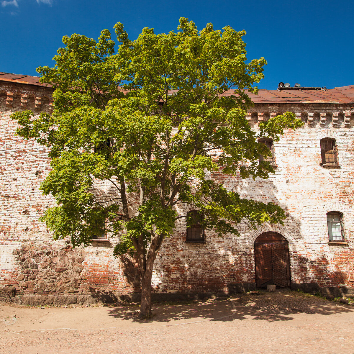 Внутри замка. 2014 г.