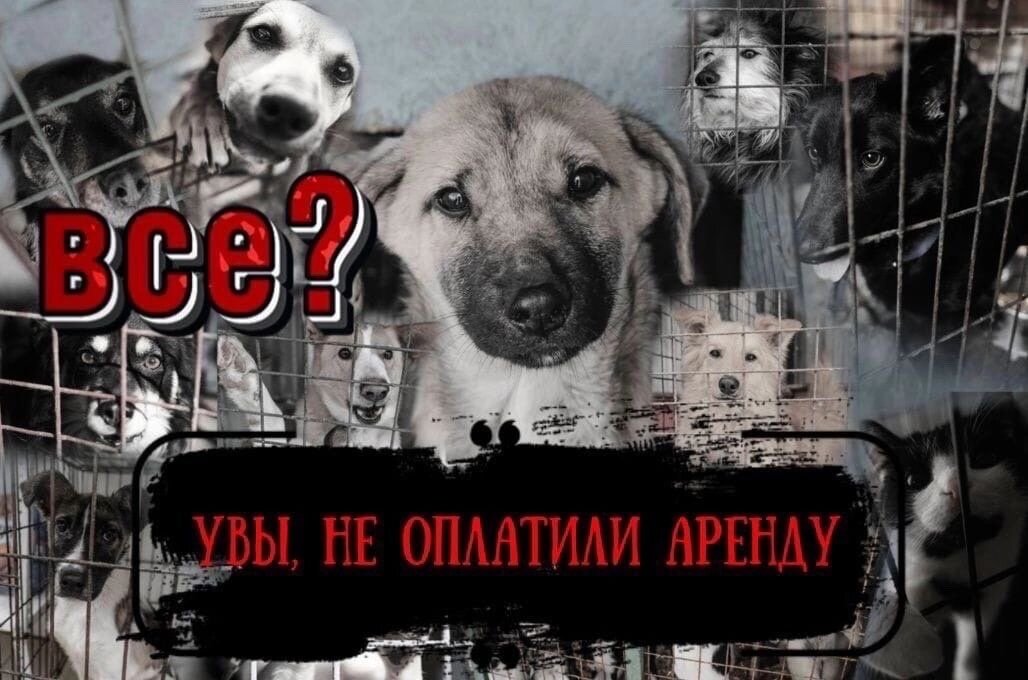 Скорее всего их бросят в канаве возле здания...