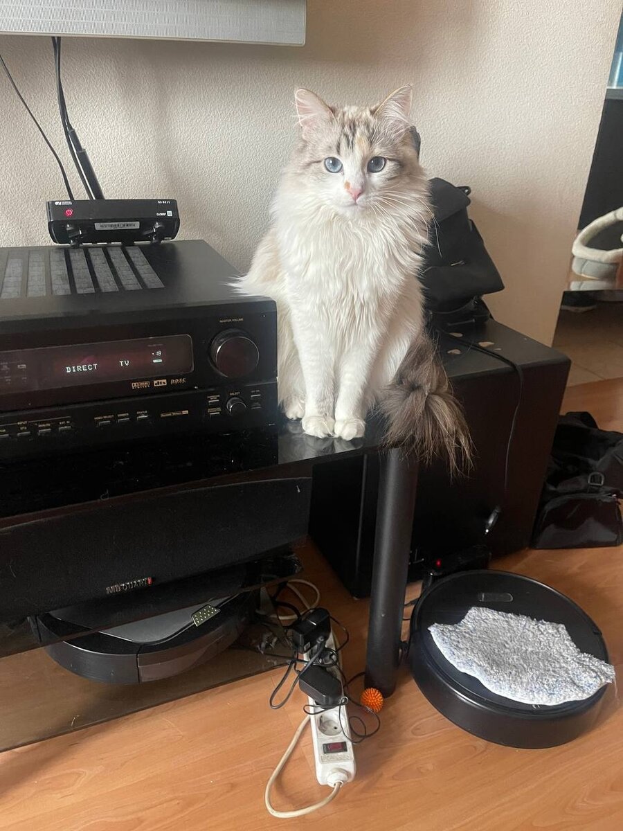 Наша выпускница Пиксида собирается на вакцинацию, чтобы весь год ни о чем не волноваться