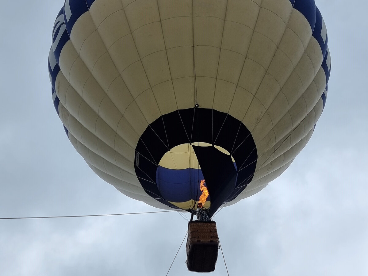 и неожиданный сюрприз