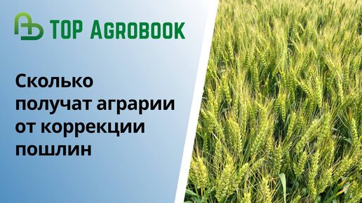 Сколько получат аграрии от коррекции пошлин | TOP Agrobook: обзор аграрных новостей