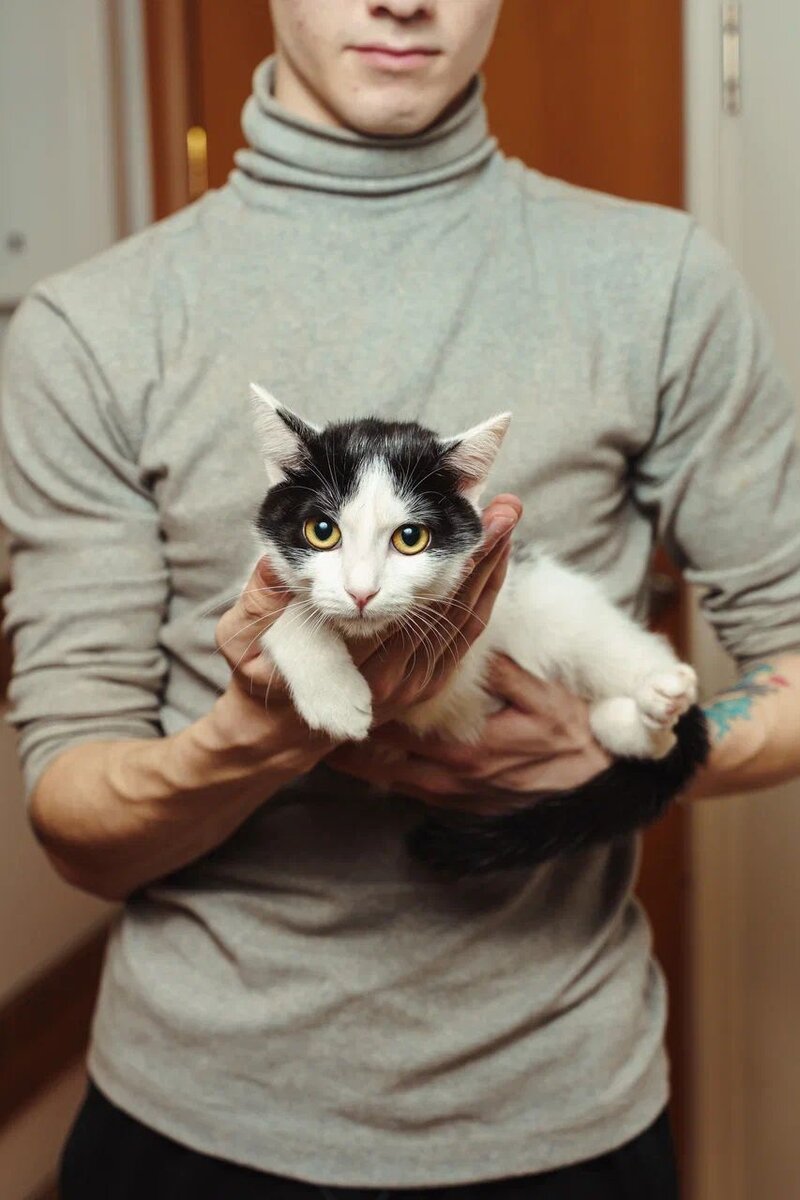 Наши котики лечатся в клинике месяцами, за всё нужно платить огромные деньги