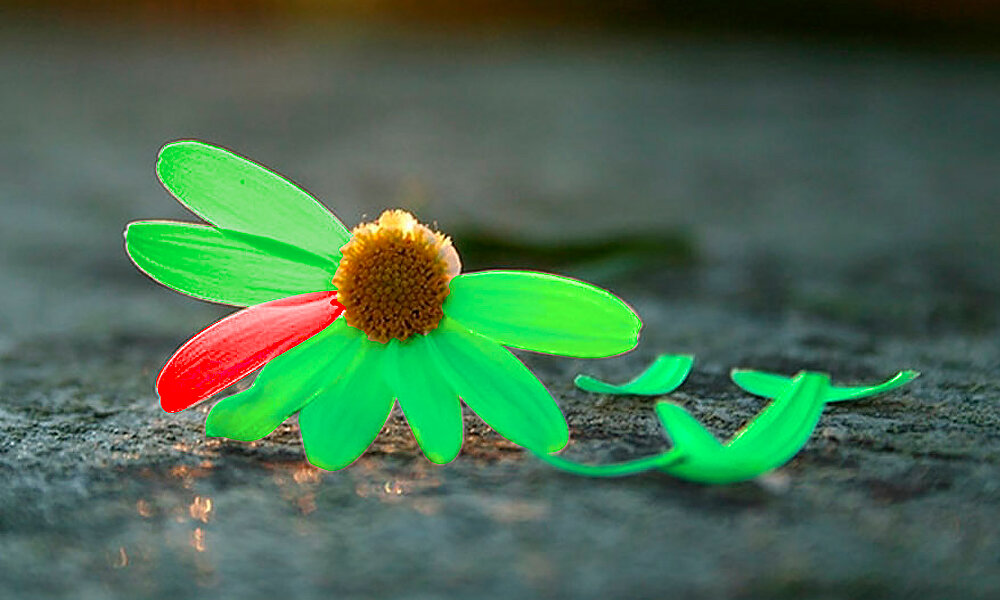 фото: «Телеспутник»